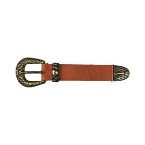 Hebilla con pasador y puntera 30mm oro viejo 8481